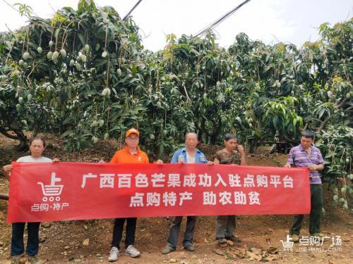 勤勞能致富嗎？果農(nóng)：這次我靠著點(diǎn)購助農(nóng)助銷才真的致富！