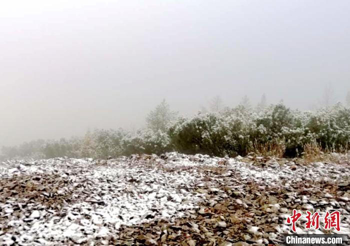 降雪現場?！⊥跄菽?攝