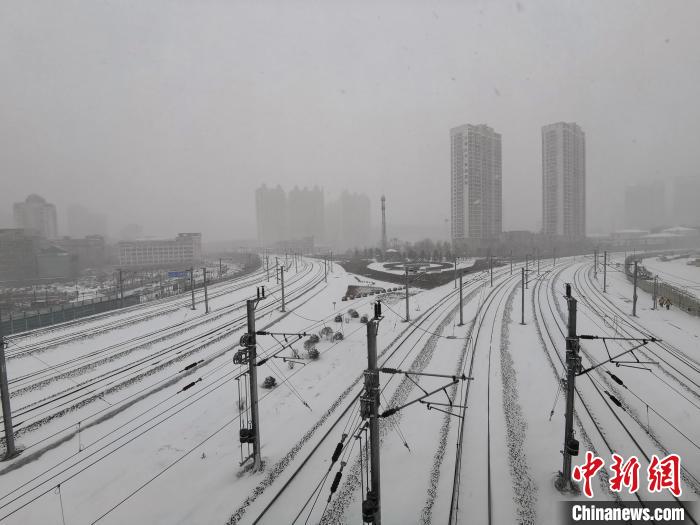 11月19日，黑龍江省迎來今年入冬以來最大降雪?！〗x 攝