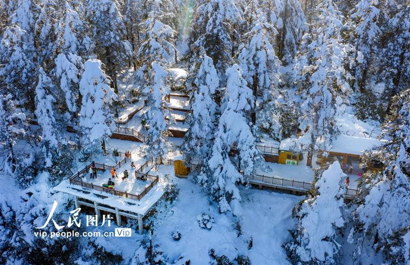 2020年12月23日拍攝的瓦屋山雪景。