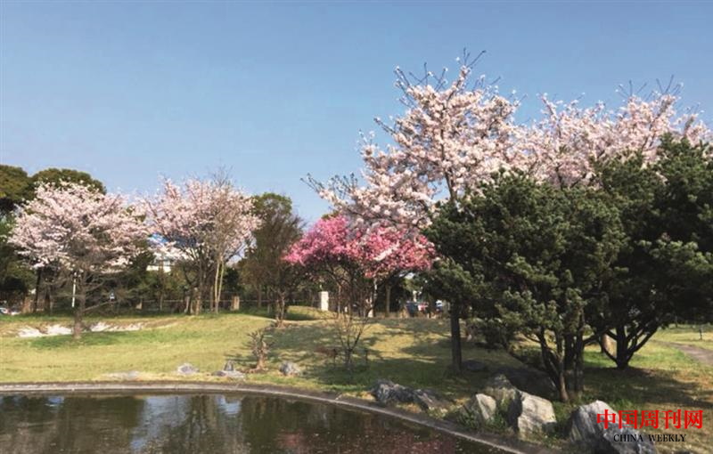 微信圖片_20201228120206.png