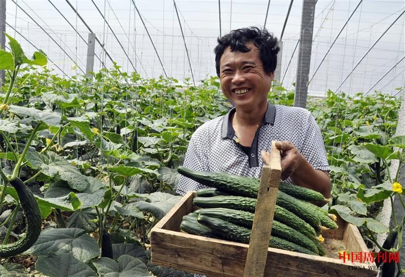 沃野孕育綠色希望.jpg