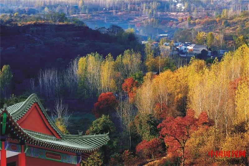 微信圖片_20210302150631.jpg