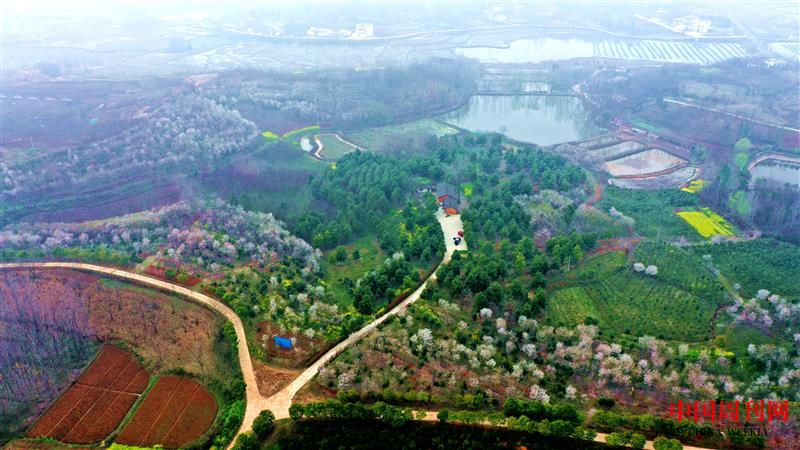 DJI_0654.JPG