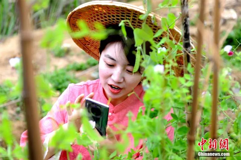 點(diǎn)擊進(jìn)入下一頁