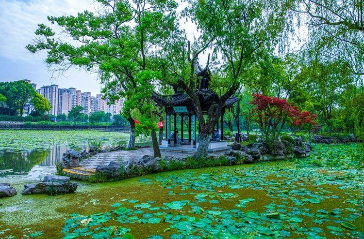 揚(yáng)州：小亭秋色滿(mǎn) 盡顯古韻美