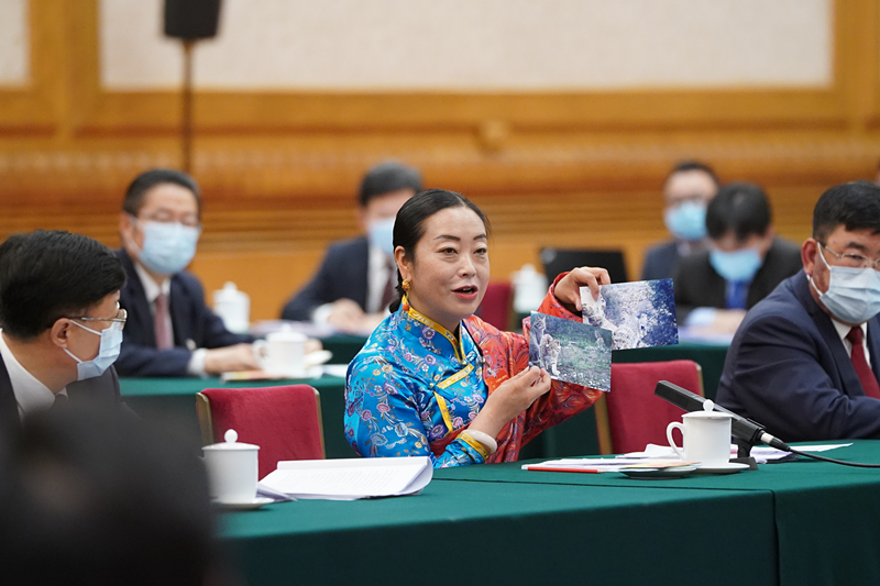 2021年3月7日，習近平總書記在參加十三屆全國人大四次會議青海代表團審議時，全國人大代表孔慶菊在會上展示了兩張照片，上面分別是祁連山地區(qū)多年不見蹤跡的雪豹和荒漠貓。