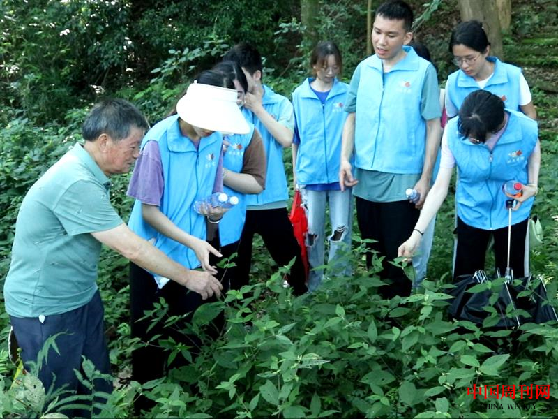 17圖為藥農(nóng)向?qū)嵺`團(tuán)成員介紹中草藥的功效以及用法，加深對(duì)中草藥知識(shí)的了解。.png