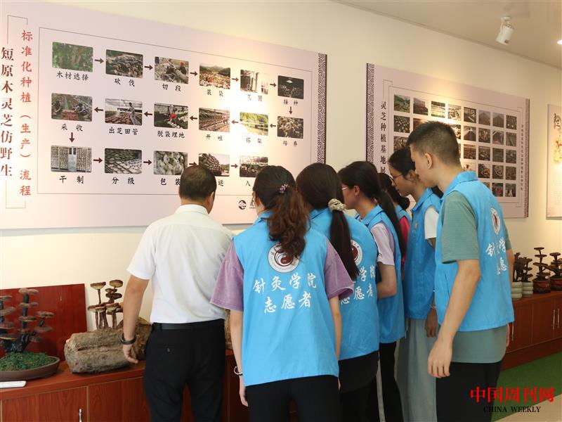 18圖為靈芝企業(yè)負(fù)責(zé)人向?qū)嵺`團(tuán)成員介紹靈芝的生產(chǎn)制作流程。.jpg